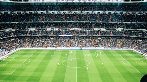 巴黎圣日耳曼轻松闯入法国杯下一轮 萨福诺夫成功扑出两记点球