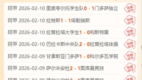 山东泰山在中超击败大连英博海发