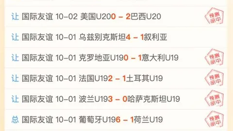 南京赛后分析：球队遭遇重重挑战，团结协作是关键力量